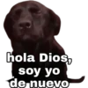 variados 14