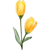 FlOwErS & WoRdS 26