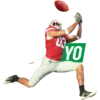 Castrol NFL 17