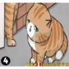 Cats Love  ️1 30
