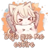 Sleeping Cat 1 30
