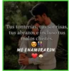 Tus tonterías, tus sonrisas,
tus abrazos e incluso tus
malos chistes.
ME ENAMORARON.