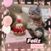 Feliz
Comple