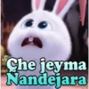 Che jeyma
Nandejara