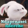 Ndapenasei
nderehe