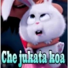 Che jukata koa