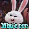 Snowball in Guaraní 9