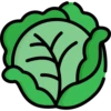Fruits and vegetables 8