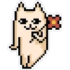 2X1 Pixel Duo (pm) 12
