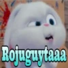 Rojuguytaa