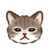 ス