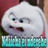 Snowball in Guaraní 16