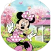mini Mouse 12