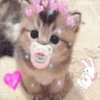 NUK
ون