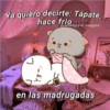 Ya quiero decirte: Tápate,
hace frio
@cats4mood en Instagram
7
۲۰۰
en las madrugadas