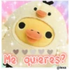 Pollitos de peluche 19