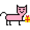 2X1 Pixel Duo (pm) 17