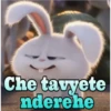 Che tavyete
nderehe