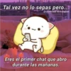 Tal vez no lo sepas pero...
@cats4mood en Instagram
Eres el primer chat que abro
durante las mañanas.