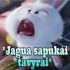 Jagua sapukái
tavyrai