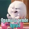 Snowball in Guaraní 19