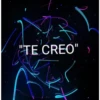 TOXICIDAD 18