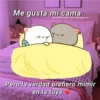 Me gusta mi cama...
@cats4mood en Instagram
Pero la verdad prefiero mimir
en la tuya.
@cats4mood