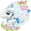 Palace Pets    1 17