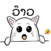 ວາວ
