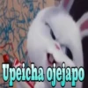 Upeicha ojejapo
DO
