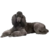 Must   Dogs4 25