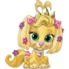 Palace Pets    1 19