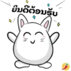ຍິນດີຕ້ອນຮັບ
3