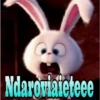 Ndaroviaieteee