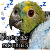 ₂z²
Buenas
noches
N
N