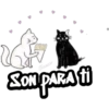 Amorcito 25