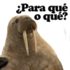 Stickers Greenpeace 10