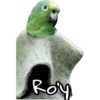 Roy