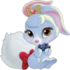Palace Pets    1 26