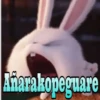 Eiarakopeguare