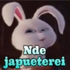 Nde
japueterei
