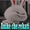 Anike che rekati