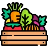 Fruits and vegetables 24