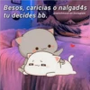Besos, caricias o nalgad4s
tu decides bb.
@cats4mood en Instagram
3