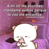 A mi no me escribas,
mándame audios porque
tu voz me encantaa.
@cats4mood en Instagram