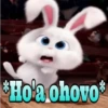 Snowball in Guaraní 30