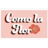 Chicas 27
