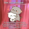 Oye, recuerda que...
@Cats4mood en Instagram
G
Yo siempre estaré para tí pase
lo que pase pq eres muy especial e
importante para mi y quiero verte
siempre felíz tkm.