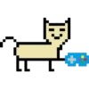 2X1 Pixel Duo (pm) 28