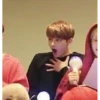 XD 1 29